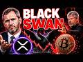 They'll Panic At The Wrong Moment— Here's What XRP Is Telling Us Before The Black Swan XRPNews Today