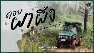 PRECHA IS HAPPY | ลุยเส้นทางดอยผาผึ้ง ยอดดอยลับในจังหวัดน่าน !! | SUZUKI JIMNY |