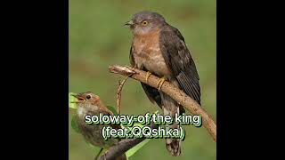 soloway-of the king(2023)(feat.QQshka)