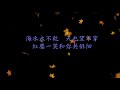 蔡幸娟 問情 歌詞版 蔡幸娟 問情 歌詞版