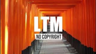 Roa - Focus (Vlog No Copyright Music)