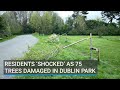 Residents shocked as 75 trees damaged in dublin park