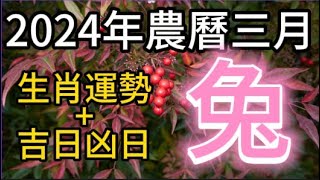 【古柏論命每月運勢+吉日凶日】2024年農曆三月(陽曆2024年4/9 ~ 5/7)生肖運勢分享   兔