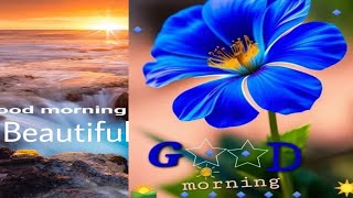 Beautiful background music to relaxing morning memories safe healing system with music jazz ????