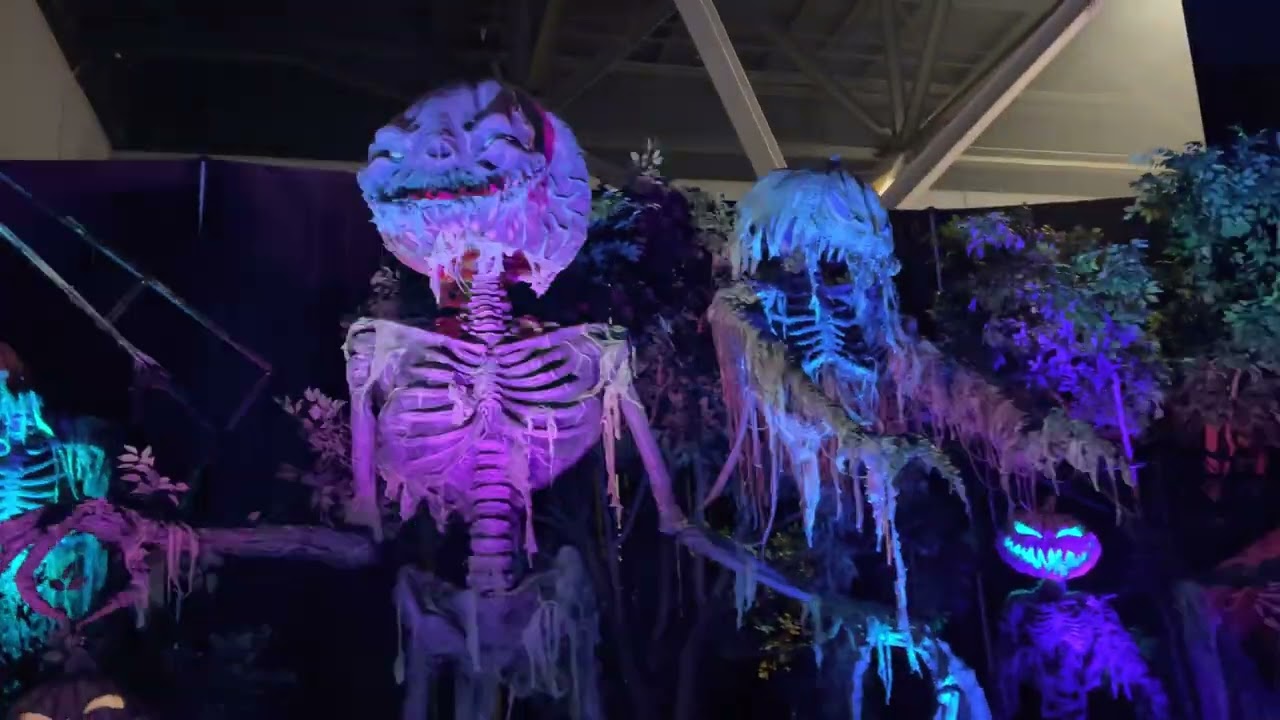 TransWorld 2022 4K Dark Zone Walkthrough