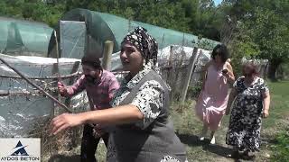 Köyde Kaybolan Şehirliler.