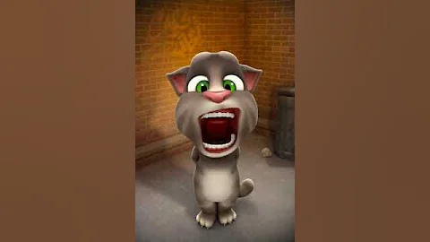 Tom   peido