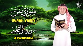 أداء كُردي يتسم بالهدوء للقارئ علاء عقل من سورة يس والواقعة Surah Yasin - Alwaqiah by Alaa Aqel