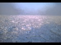 流氷(北海道、網走、オーロラ号遊覧船)