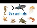 Морские животные по-английски [Sea animals - English Vocabulary Flashcards]