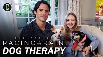 Milo Ventimiglia & Amanda Seyfried Play with Rescue Dogs - The Art of Racing in the Rain