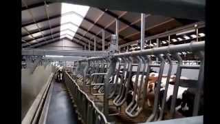 2X20 Delaval Zij Aan Zij Rotatief