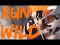 Nightcore - Run Wild (Deeper Version)
