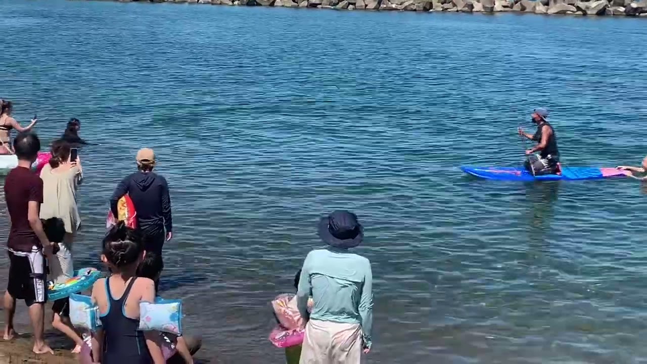 【衝撃映像】イルカに襲われる　福井市　鷹巣海水浴場