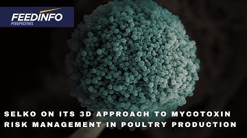 Selko on its 3D Approach to Mycotoxin Risk Management in Poultry Production