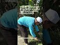 ya Allah kabulkan🤲🤲