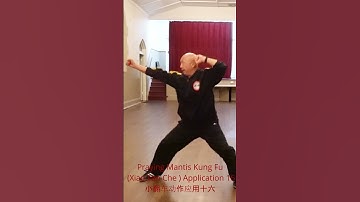 "Dynamic Mastery Unleashed: Explore Praying Mantis Kung Fu Xiao Fan Che Application 16! 🦗💥"小翻车动作应用十六