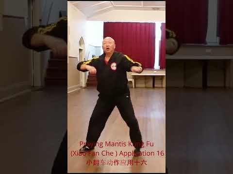 "Dynamic Mastery Unleashed: Explore Praying Mantis Kung Fu Xiao Fan Che Application 16! 🦗💥"小翻车动作应用十六