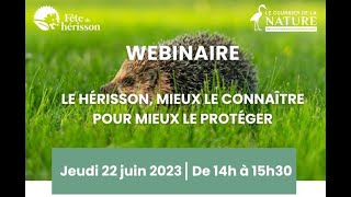 Le Hérisson, un acteur précieux de l'environnement