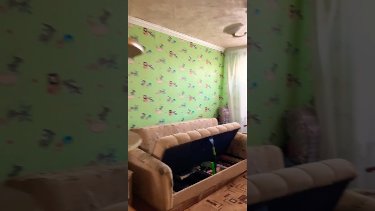 Клопы в квартире ,что делать? #клопы #тараканы #квартира #дом #россия # ...