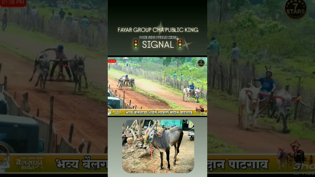 Hedutane Cha Public King "SIGNAL👑🚦