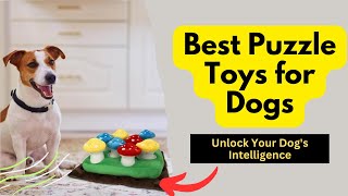 Best Puzzle Toys for Dogs: From Boredom to Brilliance