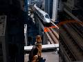 Epic Train Ride With a Brave Dog!#animals #animalrescue
