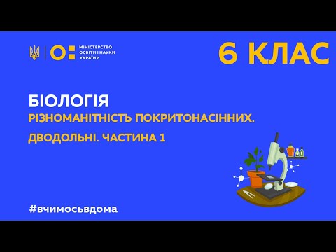 Loading video