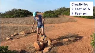 Dog Parkour Natural Environment Level 1 - Christina Rau and Nala