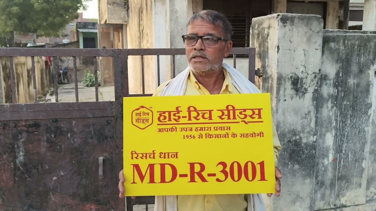 Hi Rich धान 3001 से किसान हो रहे मालामाल 