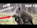 TOP 10 : GROS SANGLIERS 2021 BEST OF !!!