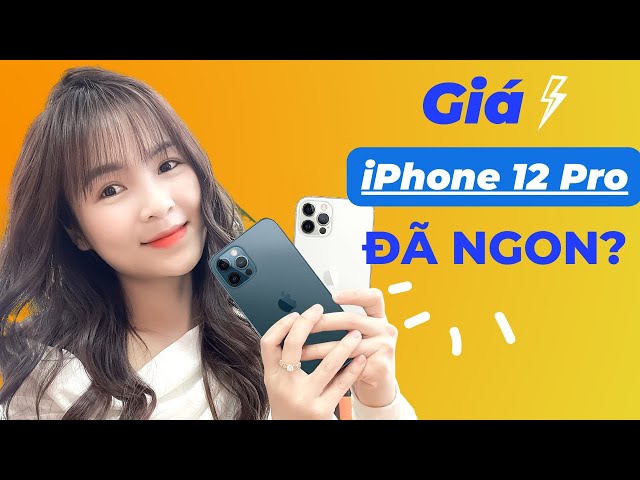 Giá iPhone 12 Pro mới nhất 2023| Có nên mua iPhone 12 Pro cũ|dReviews