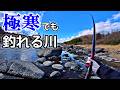 一番寒い時期に大型魚がこんなに釣れる川なんてない！