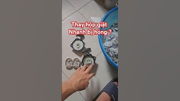 tại sao thay hộp giật lại nhanh hỏng ? #máycắtcỏ #máycưa