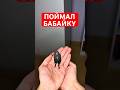 БАБАЙКУ ПОЙМАЛ #юмор #рекомендации #прикол