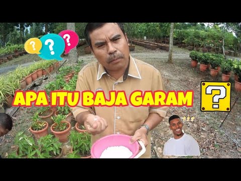 Video: Urea (urea): Apakah Baja Ini? Rawatan Kebun Dengan Urea Pada Musim Luruh Dan Musim Bunga, Penyemburan Pokok. Arahan Penggunaan Terhadap Perosak Dan Penyakit