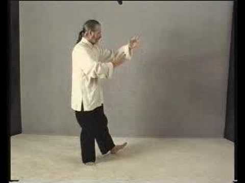 Part 14: Learn Tai Chi Free: Yang Cheng-fu Long FO...