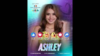 Pinoy Big Brother Celebrity Edition Collab