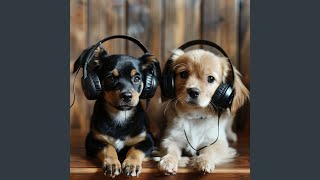 Wagging Rhythms Song