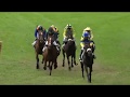 galoprennen (steeple chase) wedstrijd Jacques du Roy de Blicquy (ren 2) op Waregem Koerse 2018