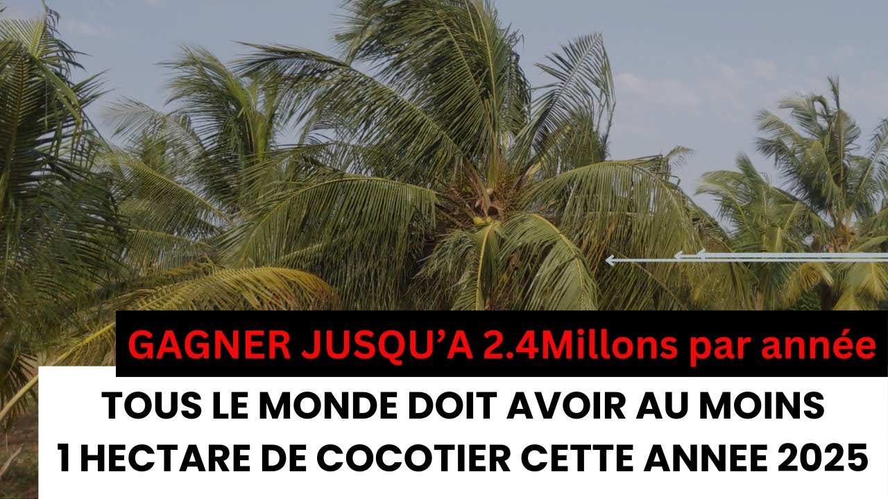 LE MEILLEUR INVESTIMENT DURABLE EN 2025 !La Culture Du Coco te fait Gagner des Millions...