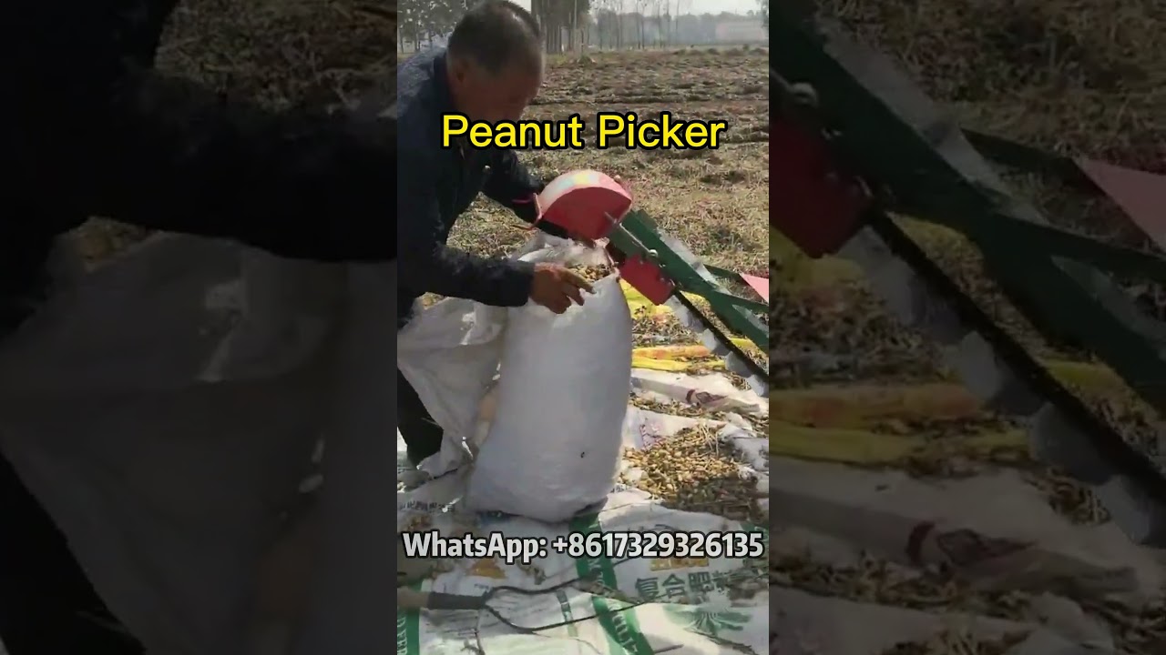 Yield Maximization: The Peanut Picker's Impact on Modern Agricultural Practices! 