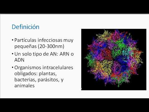 Video: Cómo Realizar Un Análisis De Virus Completo