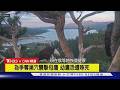 【CNN精選】老鷹爭地盤激烈打鬥 加州「網紅國鳥」受傷｜TVBS新聞