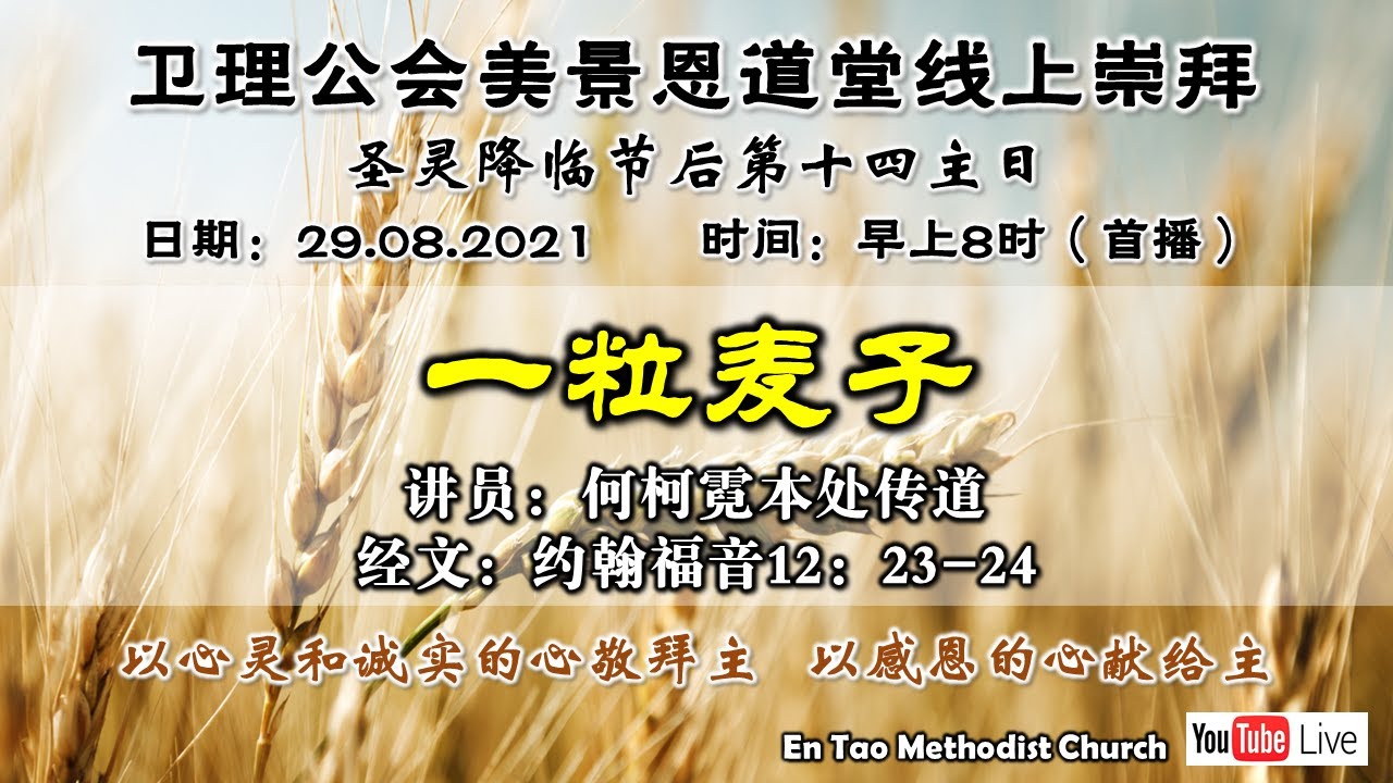 崇拜直播 圣灵降临节后第14主日 Youtube