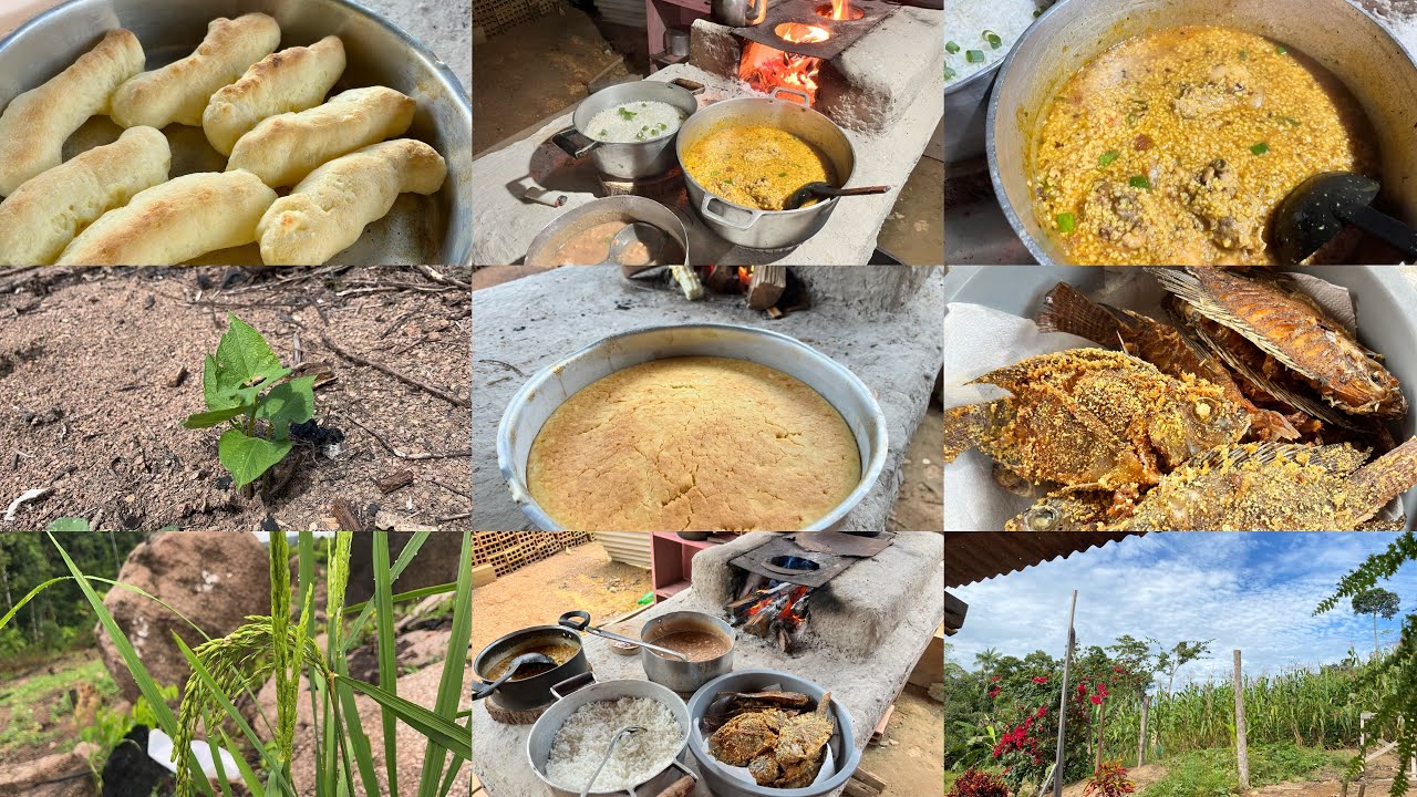 Nossa vida na roça/ canjiquinha no fogão a lenha natureza e simplicidade/ os feijões estão nascendo