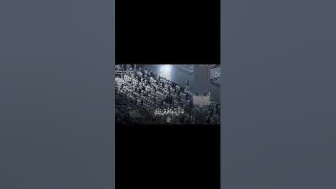تلاوه تلمس القلب من كثره الخشوع ❤️