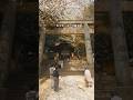一生に一度は行きたいこんぴらさん、年間300万人が訪れる金刀比羅神社の総本宮