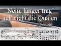 Nein, länger trag’ ich die Qualen…Durch die Wälder, Karaoke, Der Freischütz, Max aria