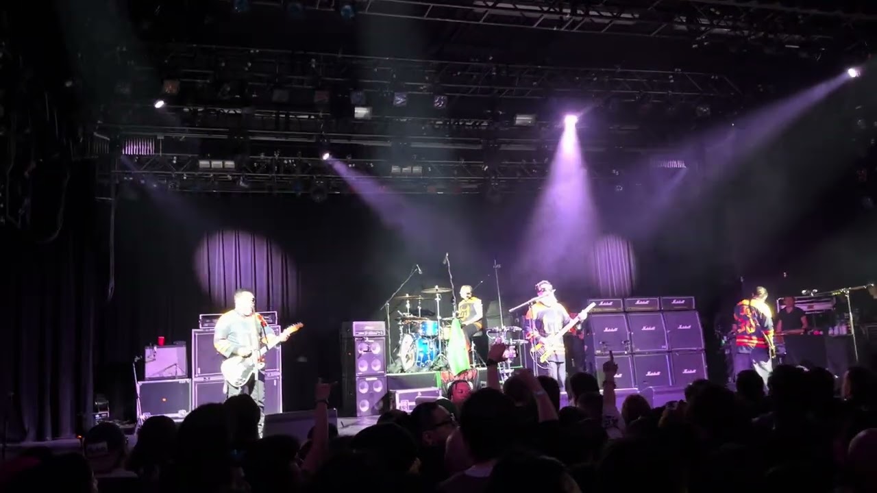 Molotov in NYMás vale cholo